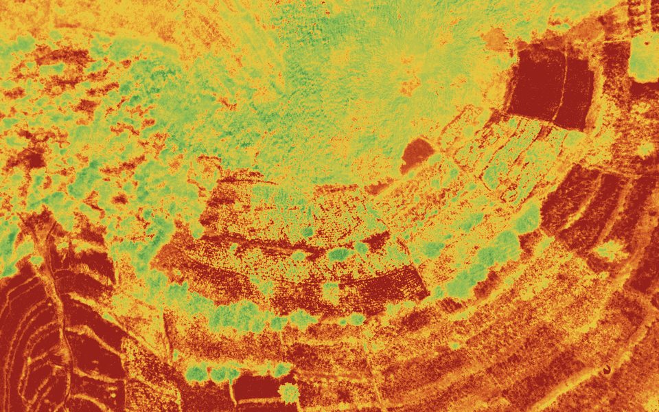Vegetation index map computed from multispectral survey data over a Rwandan wetland